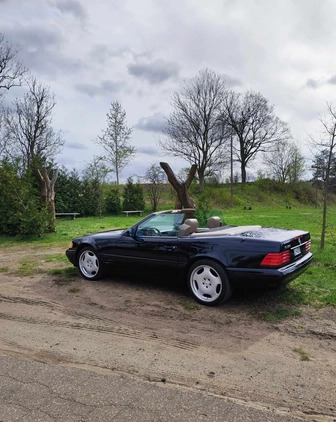 Mercedes-Benz SL cena 69000 przebieg: 98000, rok produkcji 1997 z Ślesin małe 742